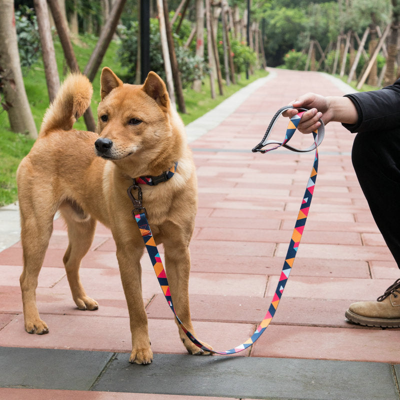 The Perfect Companion for Every Dog Walk: Pet Supplies Dog Leash